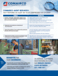 Audit services